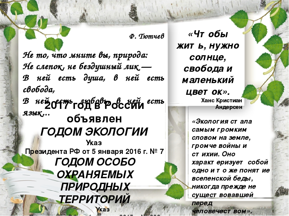 Презентация "Календарь экологических дат".
