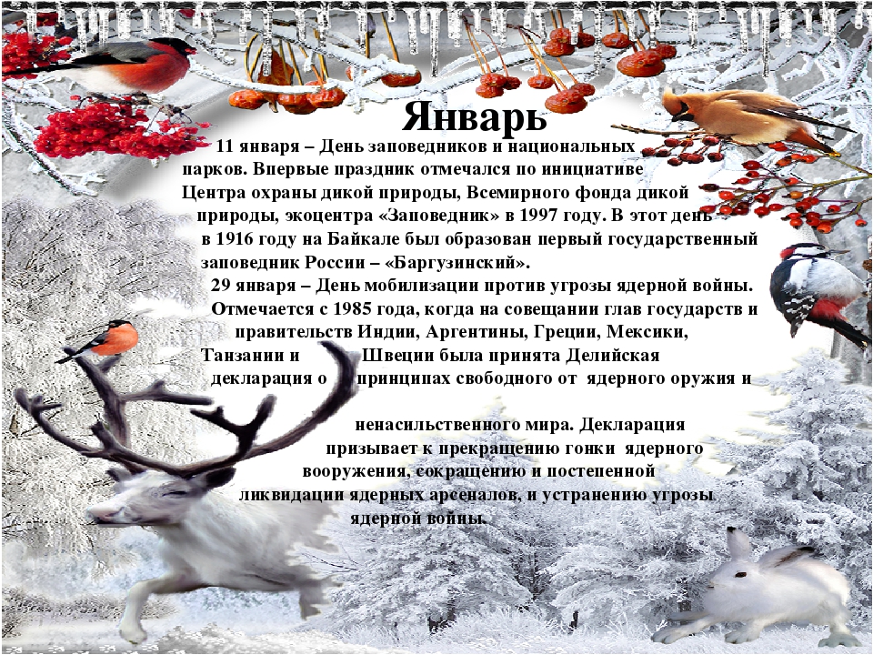 Презентация "Календарь экологических дат".