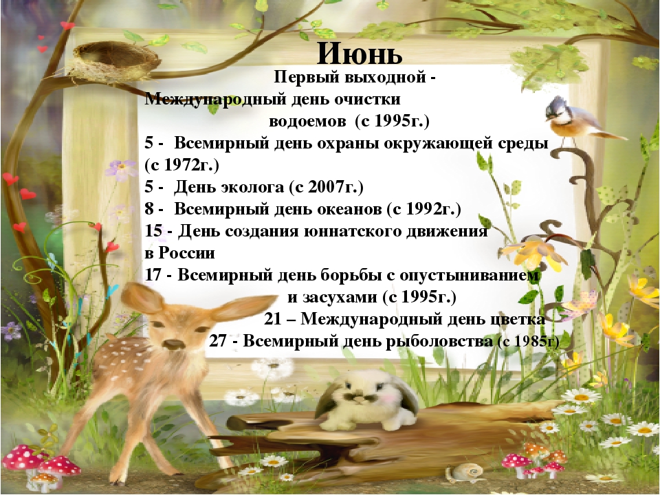 Презентация "Календарь экологических дат".
