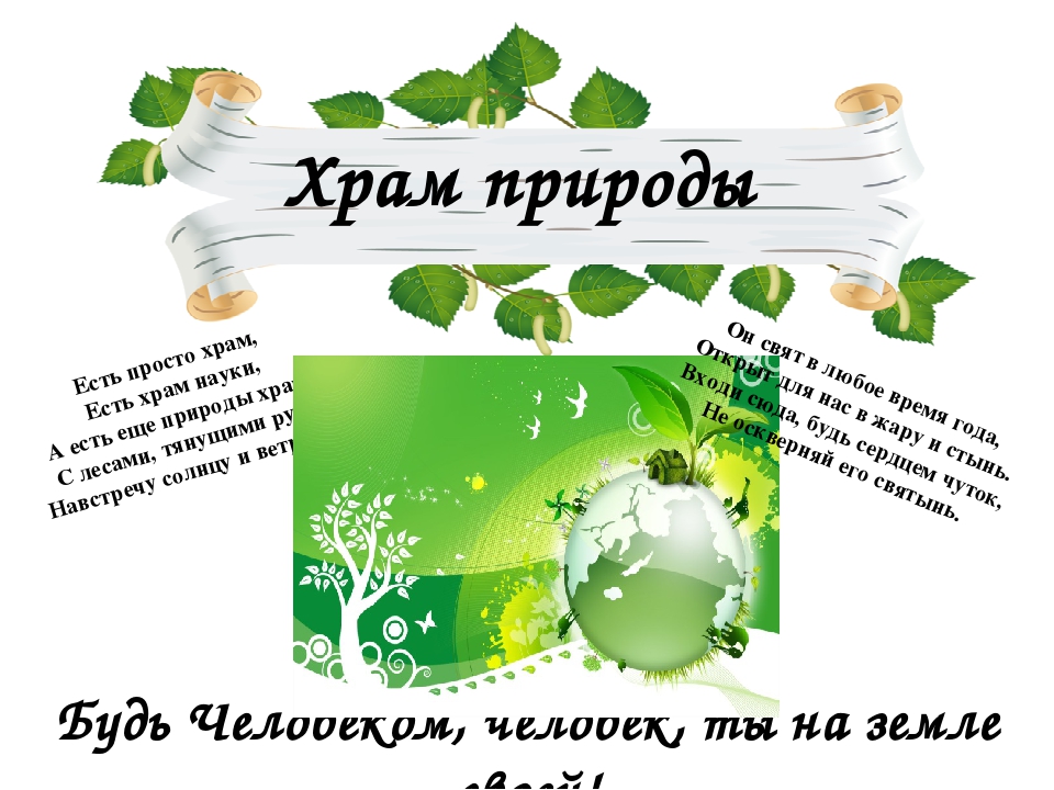 Презентация "Календарь экологических дат".