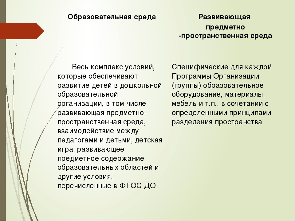 Презентация "Организация развивающей предметно-пространственной среды "