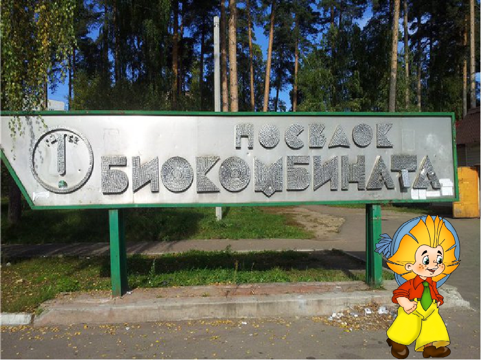 Презентация "Знакомство с посёлком"