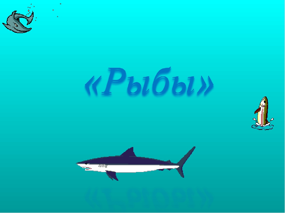 Презентация на тему "Рыбы"