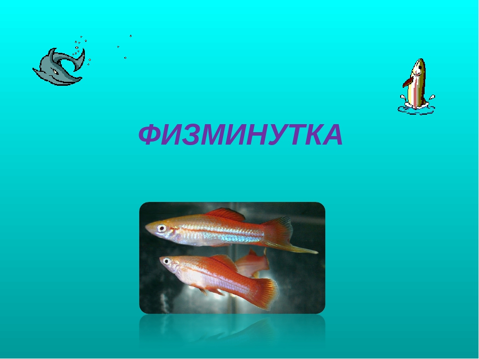 Презентация на тему "Рыбы"