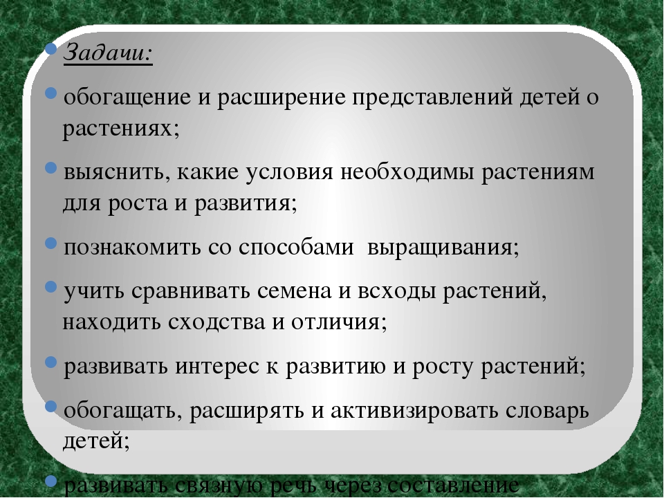 Экологический проект "Огород на окне" в старшей группе ДОУ