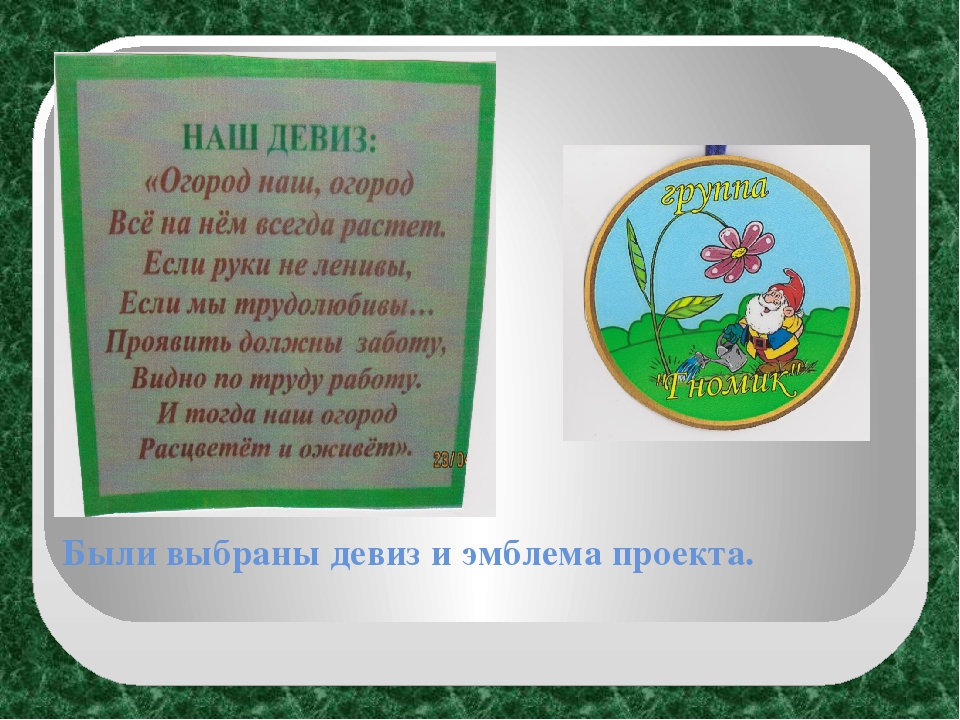 Экологический проект "Огород на окне" в старшей группе ДОУ