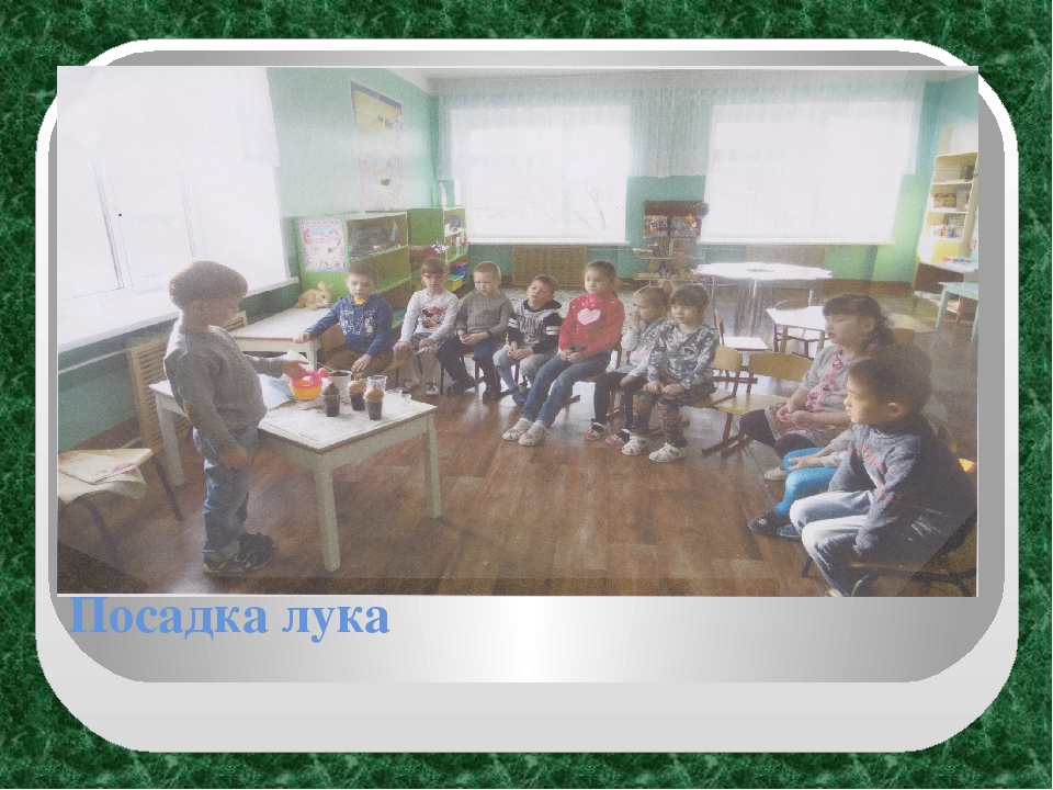 Экологический проект "Огород на окне" в старшей группе ДОУ