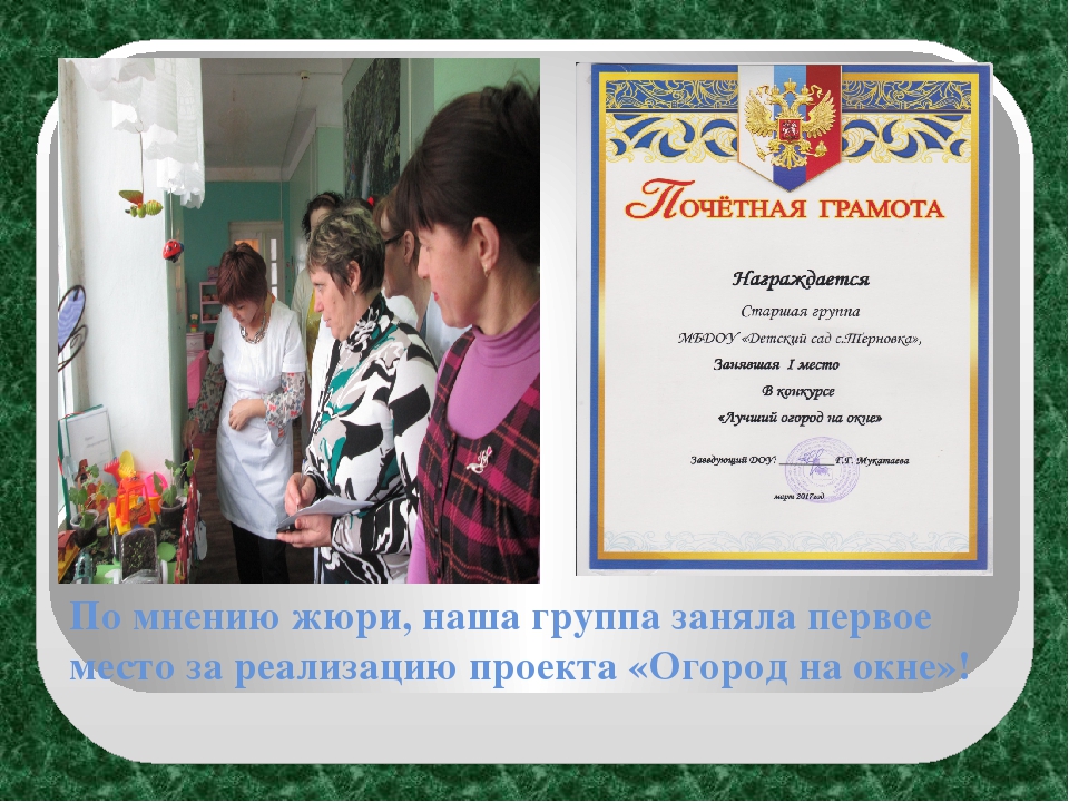 Экологический проект "Огород на окне" в старшей группе ДОУ
