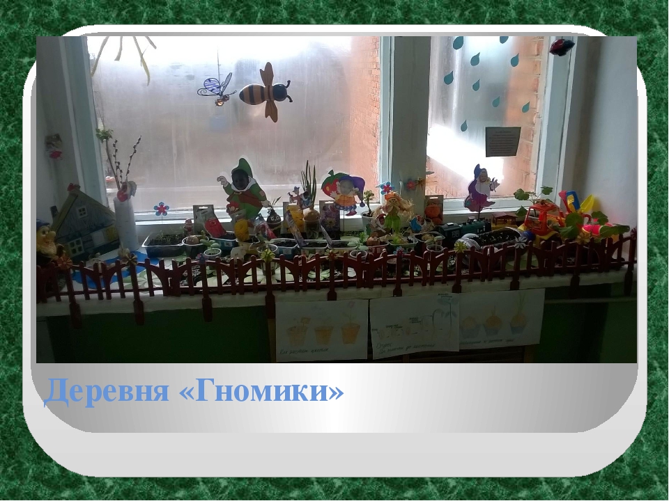 Экологический проект "Огород на окне" в старшей группе ДОУ