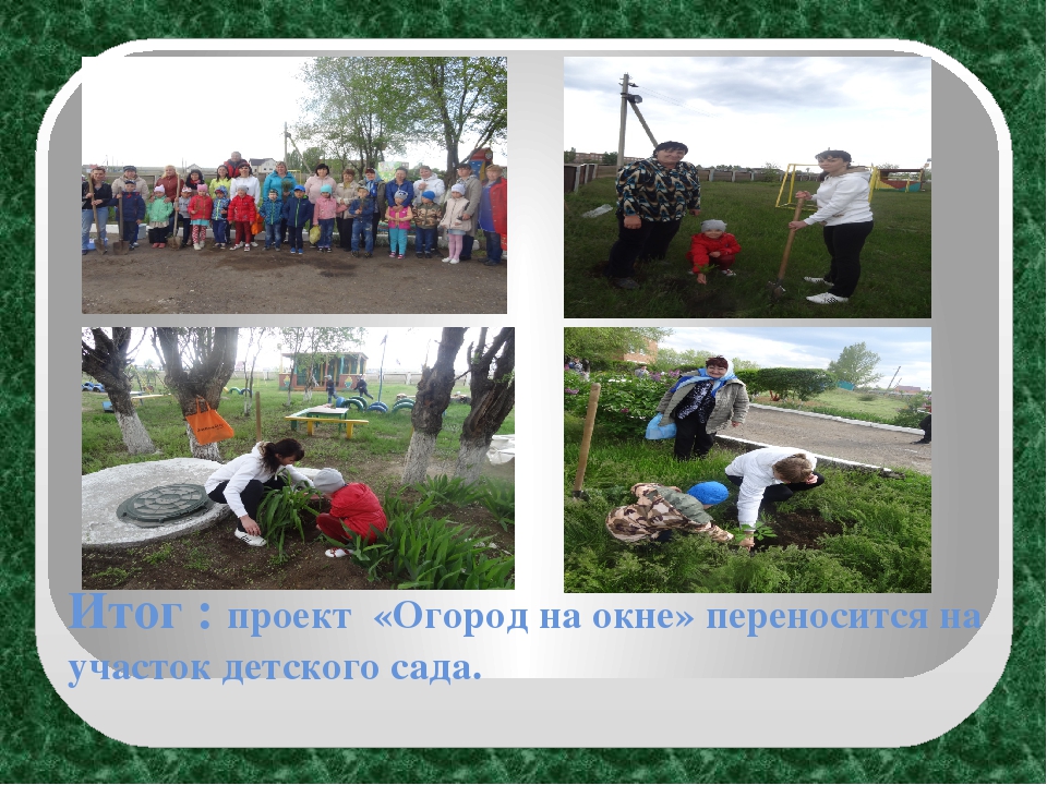 Экологический проект "Огород на окне" в старшей группе ДОУ