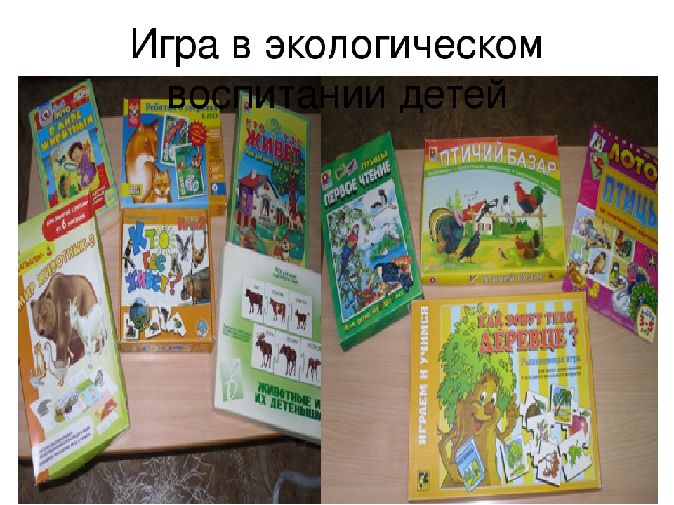 Роль игры в экологическом воспитании детей