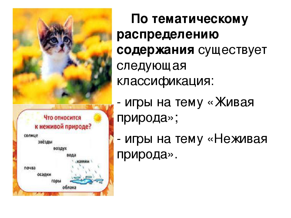 Роль игры в экологическом воспитании детей