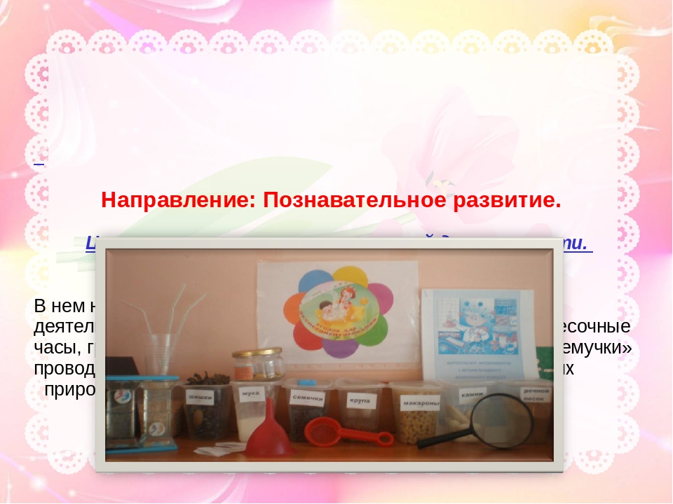 Презентация "Предметно-развивающая среда в детском саду в рамках ФГОС"