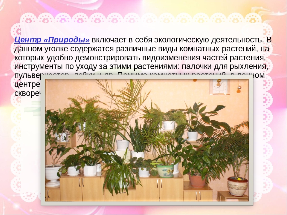 Презентация "Предметно-развивающая среда в детском саду в рамках ФГОС"