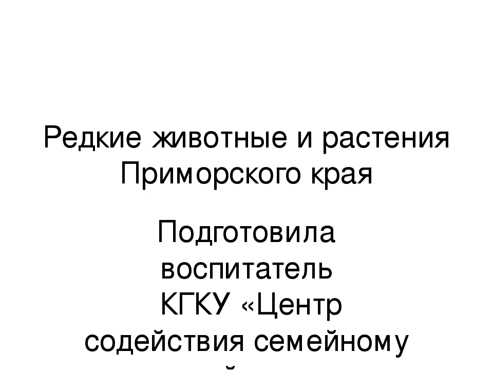 Презентация "Редкие животные Приморского края"