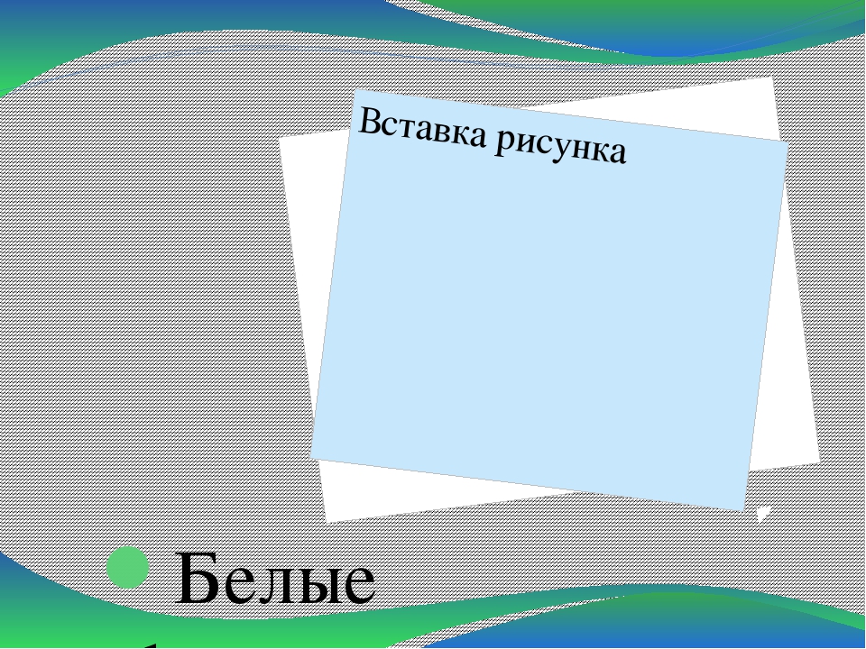 Презентация по теме "Первоцветы"