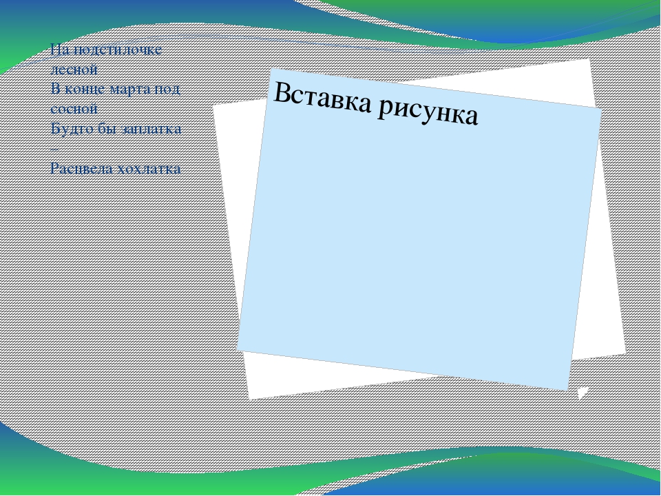 Презентация по теме "Первоцветы"
