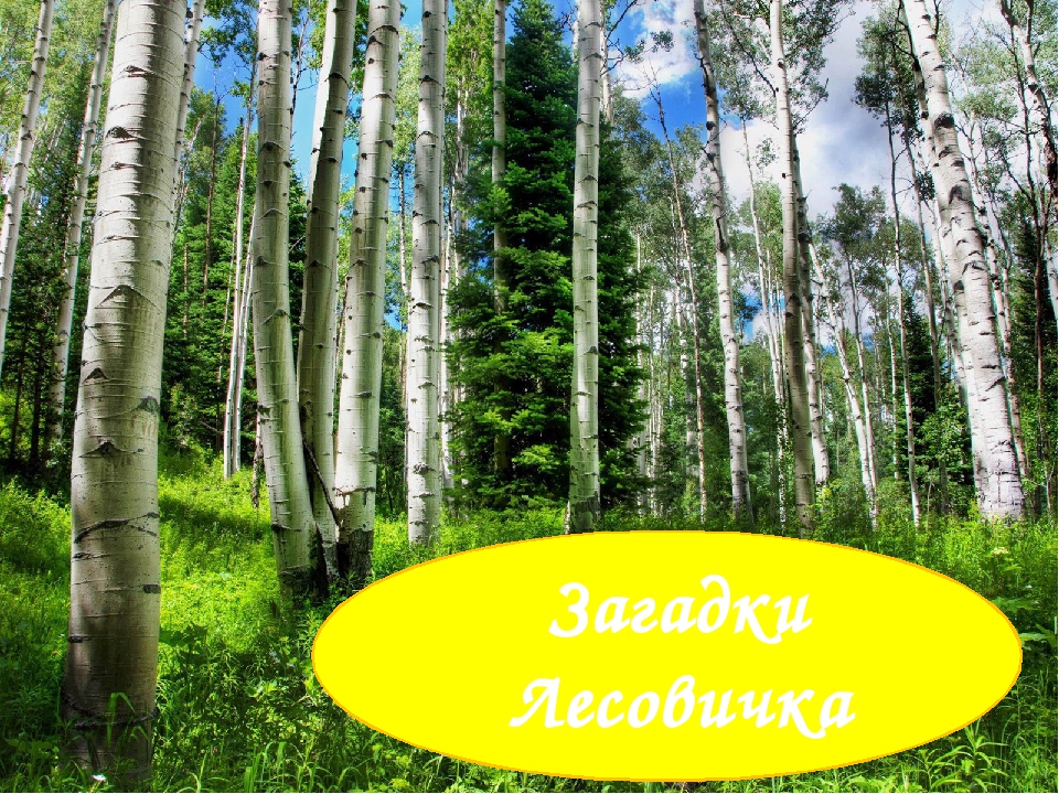 Презентация к познавательной игре "Загадки Лесовичка"