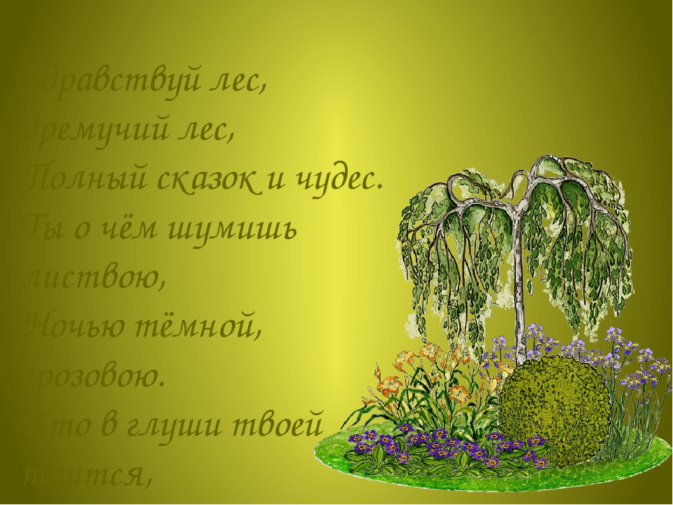 Презентация к познавательной игре "Загадки Лесовичка"