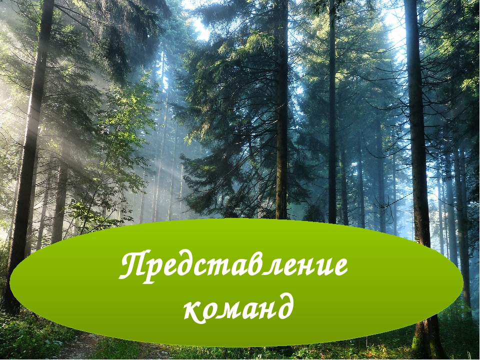 Презентация к познавательной игре "Загадки Лесовичка"