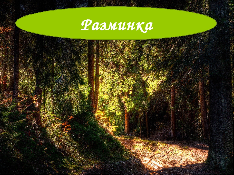 Презентация к познавательной игре "Загадки Лесовичка"