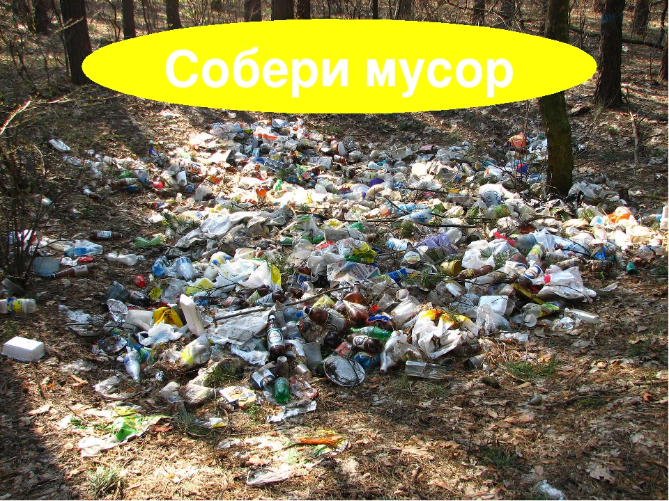 Презентация к познавательной игре "Загадки Лесовичка"