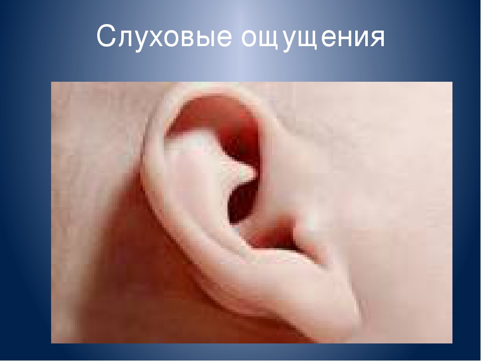 Тема: Сенсорное развитие детей раннего возраста