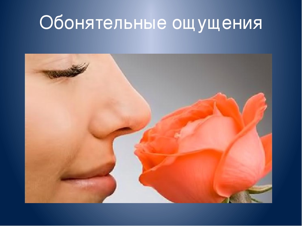 Тема: Сенсорное развитие детей раннего возраста