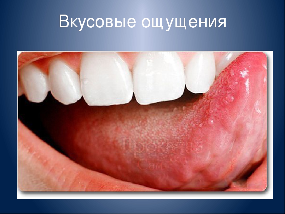 Тема: Сенсорное развитие детей раннего возраста
