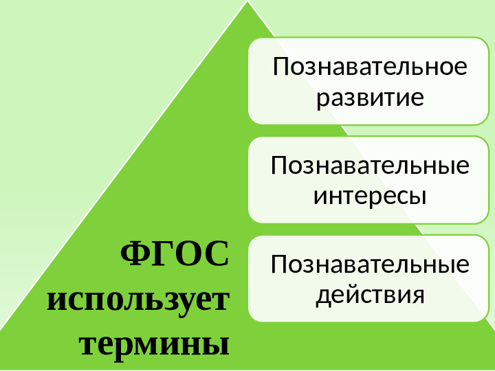 Познавательное развитие дошкольников по ФГОС ДО