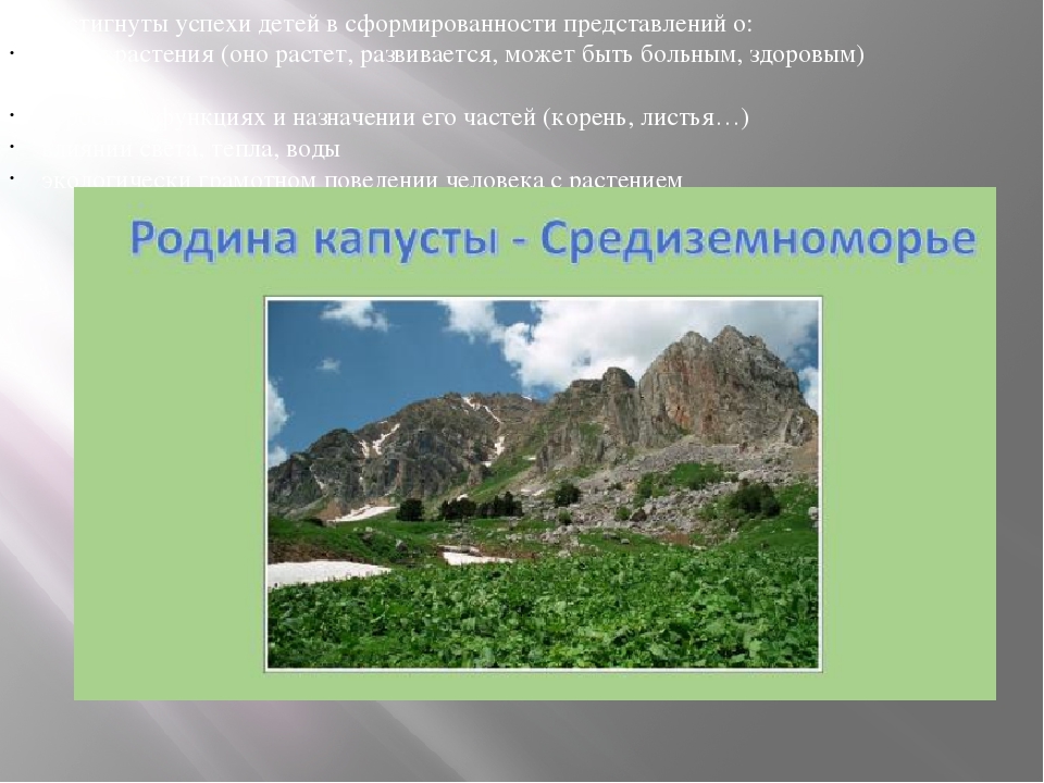 Презентация на тему "Азбука огородника"