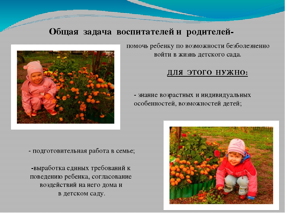 Презентация на тему "Адаптация детей раннего возраста в детском саду"