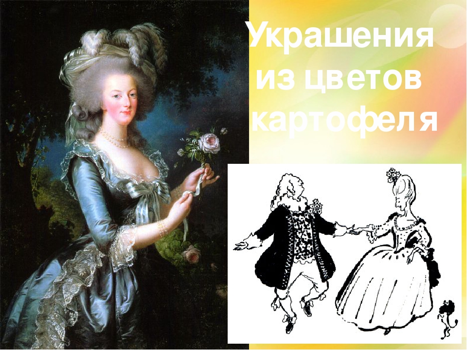 Презентация "здравствуй милая картошка" (подготовительная группа)