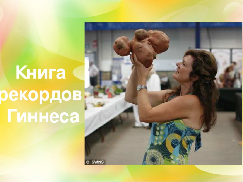 Презентация "здравствуй милая картошка" (подготовительная группа)