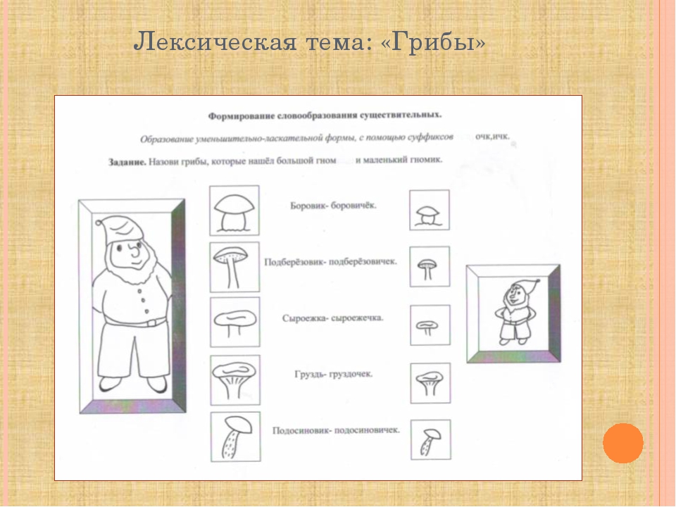 Использование моделирования в формировании навыка словообразования