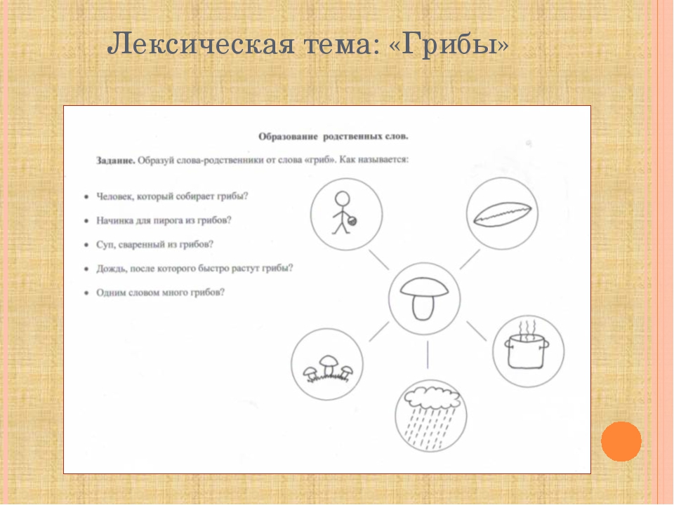 Использование моделирования в формировании навыка словообразования
