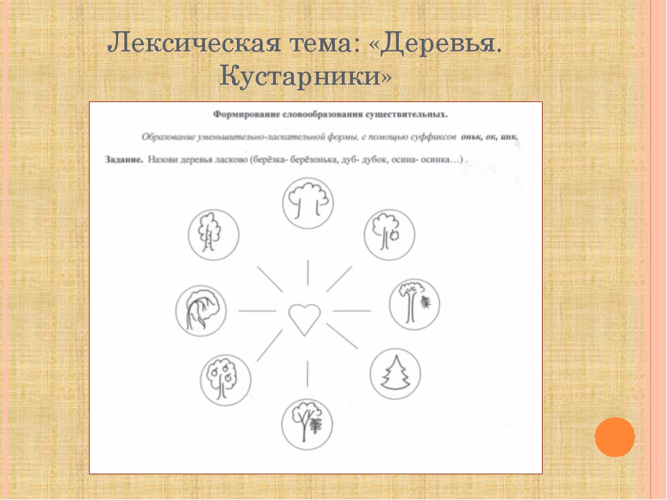 Использование моделирования в формировании навыка словообразования