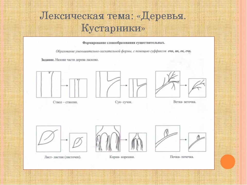 Использование моделирования в формировании навыка словообразования