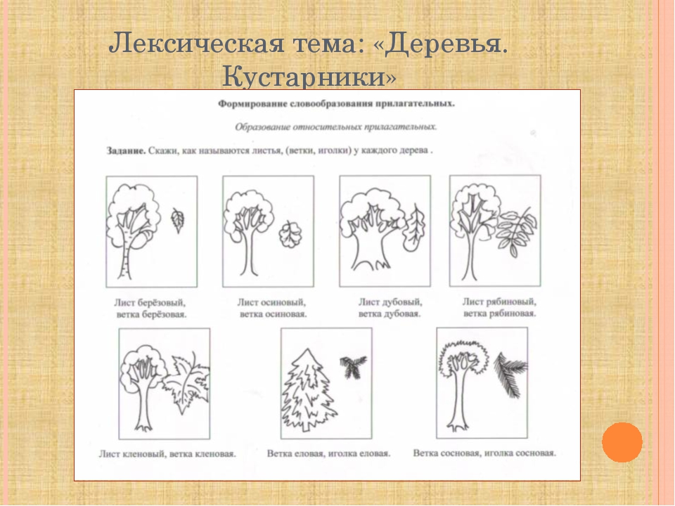 Использование моделирования в формировании навыка словообразования