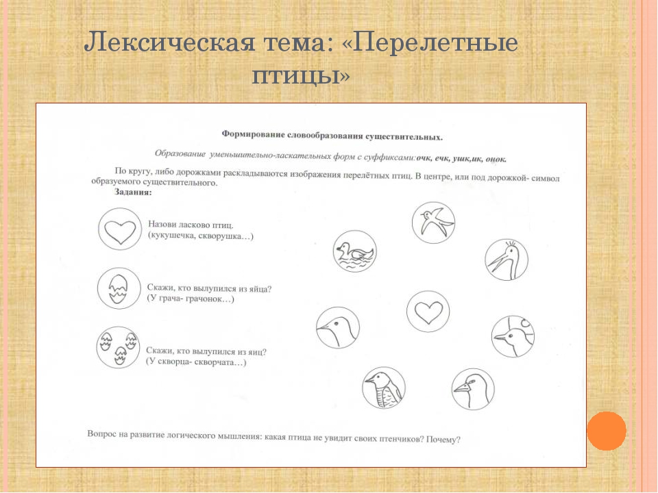 Использование моделирования в формировании навыка словообразования