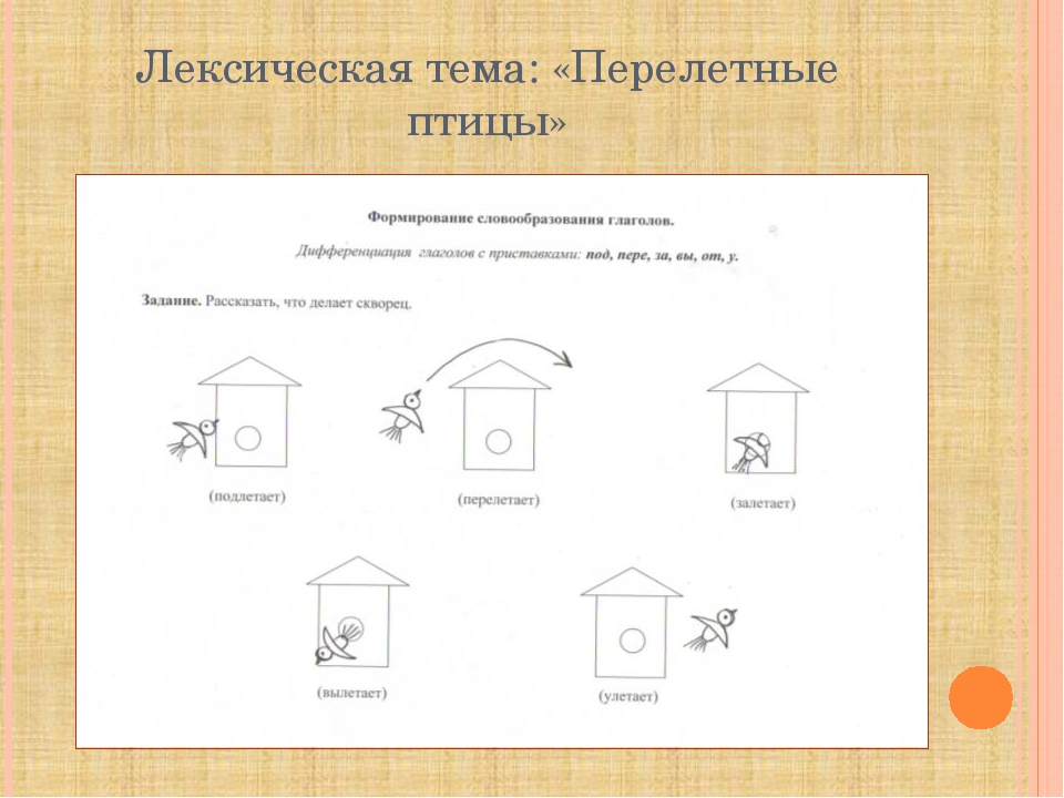 Использование моделирования в формировании навыка словообразования