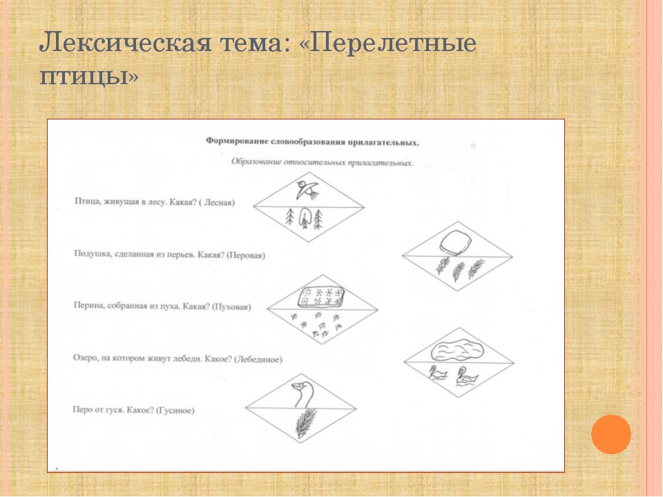 Использование моделирования в формировании навыка словообразования