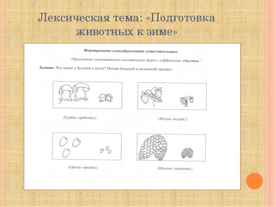 Использование моделирования в формировании навыка словообразования