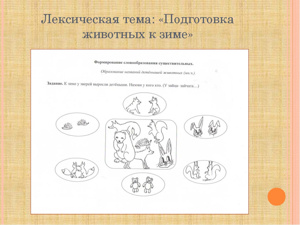 Использование моделирования в формировании навыка словообразования