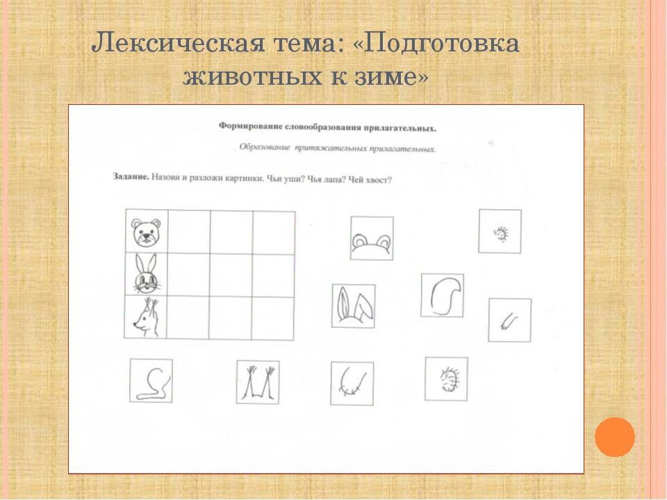 Использование моделирования в формировании навыка словообразования