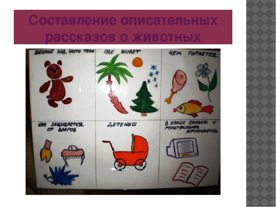 «Использование мнемотехники для развития речи детей дошкольного возраста»