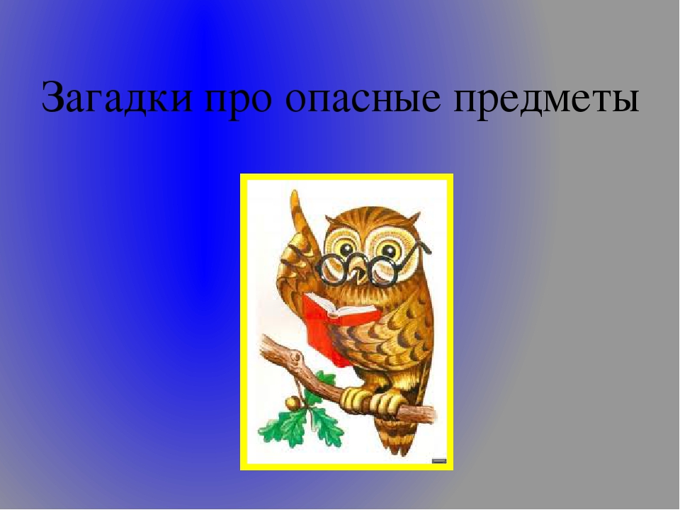 Презентация " Безопасность ребенка в доме"