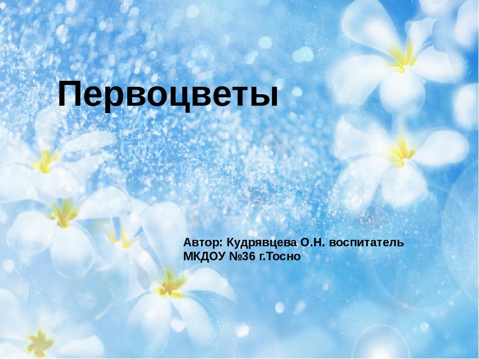 Презентация на тему "Первоцветы"