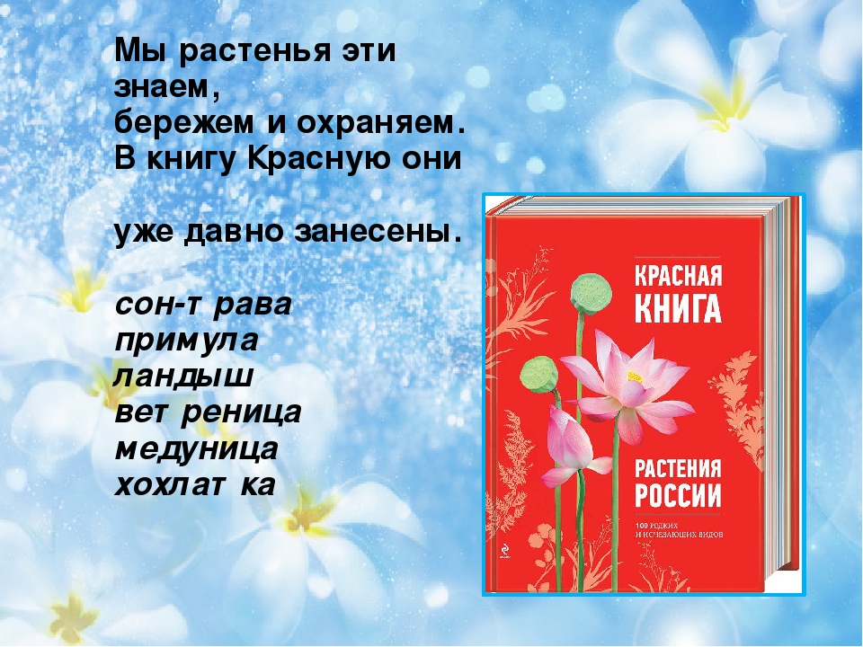 Презентация на тему "Первоцветы"