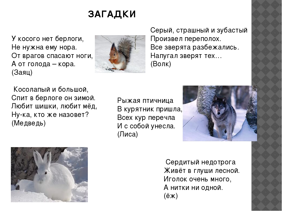 Презентация по ознакомлению с окружающим миром в старшей группе "Приметы зимы".
